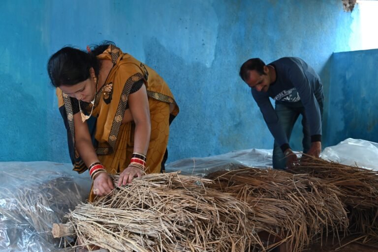 Lucky Hota: From Housewife to Award-Winning Mushroom Farmer