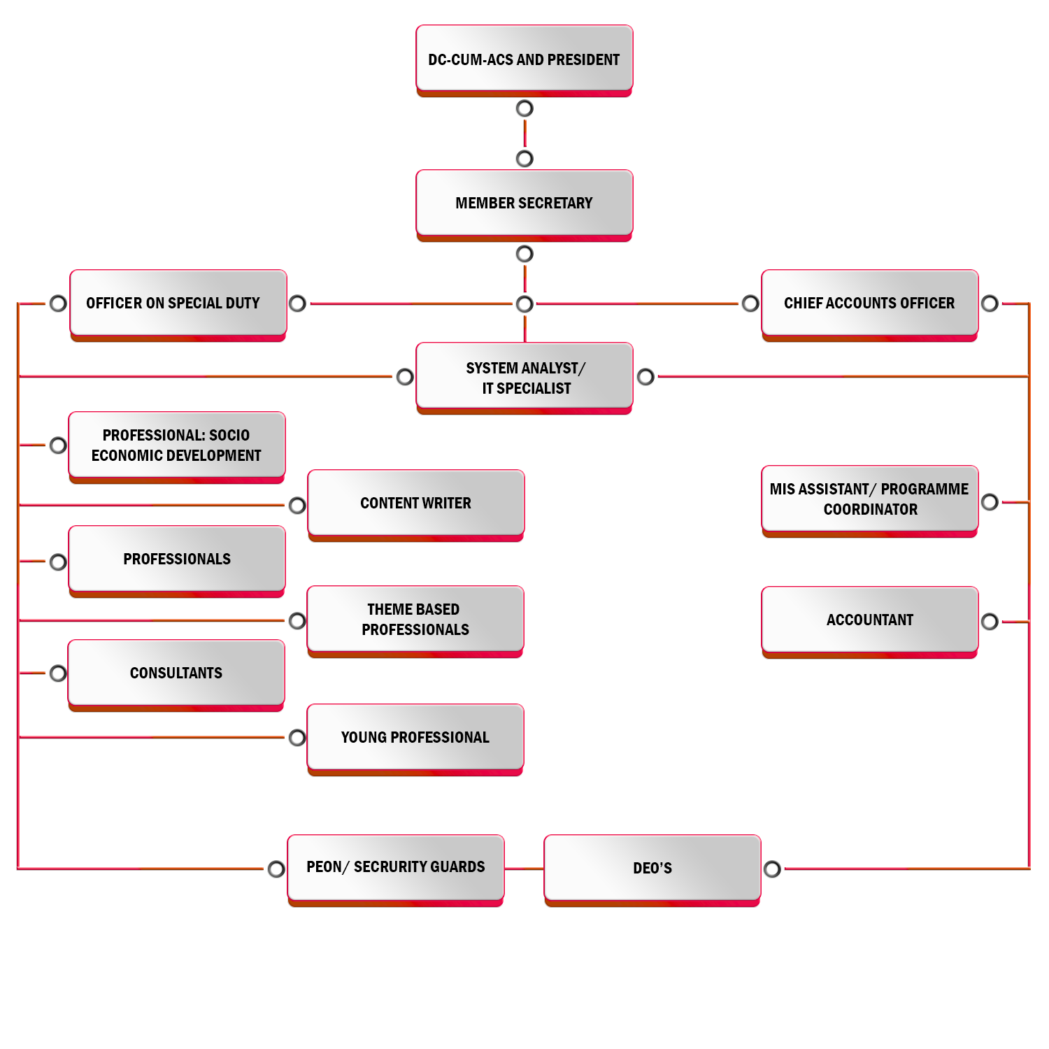 Organogram